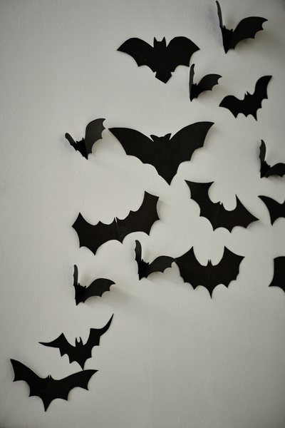 Paper Bats Are Attached to Wall
